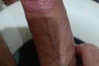 T.Araujo